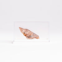 Papagoite and Ajoite in Quartz- Cluster