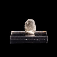 Phenakite (Phenacite)