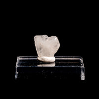 Phenakite (Phenacite)