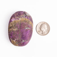 Purpurite - Palm