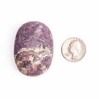 Purpurite - Palm