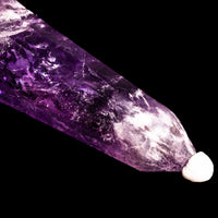 Vogel - Amethyst
