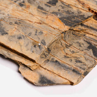 Slaty Shale Record - Earth Love Gallery Collection