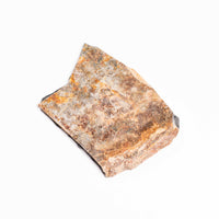 Slaty Shale Record - Earth Love Gallery Collection