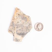 Slaty Shale Record - Earth Love Gallery Collection