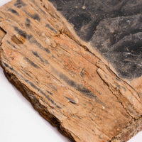 Slaty Shale Record - Earth Love Gallery Collection