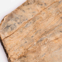 Slaty Shale Record - Earth Love Gallery Collection