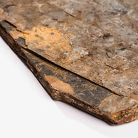 Slaty Shale Record - Earth Love Gallery Collection