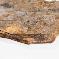 Slaty Shale Record - Earth Love Gallery Collection