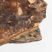 Slaty Shale Record - Earth Love Gallery Collection