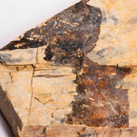 Slaty Shale Record - Earth Love Gallery Collection