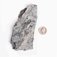 Slaty Shale Record - Earth Love Gallery Collection