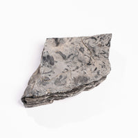 Slaty Shale Record - Earth Love Gallery Collection