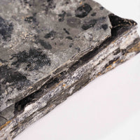 Slaty Shale Record - Earth Love Gallery Collection