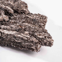 Fossilized Wood with Smoky Quartz