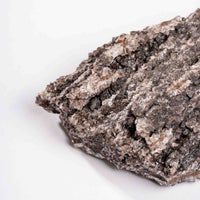Fossilized Wood with Smoky Quartz