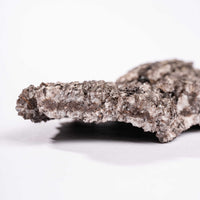 Fossilized Wood with Smoky Quartz