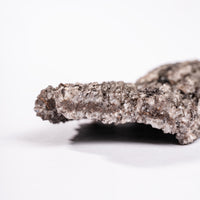 Fossilized Wood with Smoky Quartz