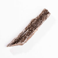 Fossilized Wood with Smoky Quartz