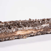 Fossilized Wood with Smoky Quartz