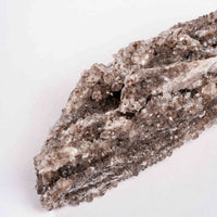 Fossilized Wood with Smoky Quartz