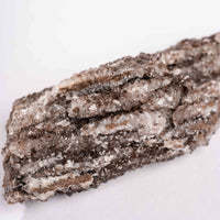 Fossilized Wood with Smoky Quartz