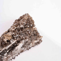 Fossilized Wood with Smoky Quartz