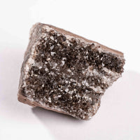 Fossilized Wood with Smoky Quartz