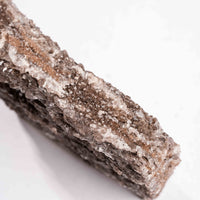Fossilized Wood with Smoky Quartz
