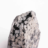 Obsidian - Snowflake Rough