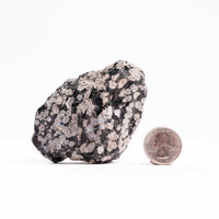 Obsidian - Snowflake Rough