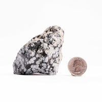 Obsidian - Snowflake Rough