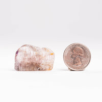 Super Seven Quartz, Polished - Earth Love Gallery Collection