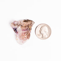 Super Seven Quartz, Rough - Earth Love Gallery Collection