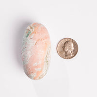 Jasper, Unicorn - Shiva