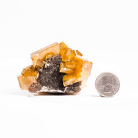 Yellow Barite on Fluorite - Bladed Cluster