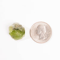 Peridot w/ Matrix - Small