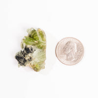 Peridot w/ Matrix - Rough