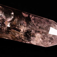 Powellite - Vogel