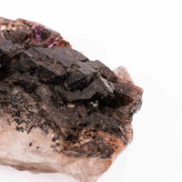 Smoky Amethyst Elestials - Earth Love Gallery Collection