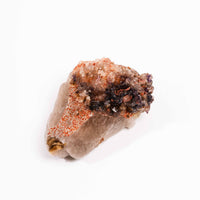 Smoky Amethyst Elestials - Earth Love Gallery Collection