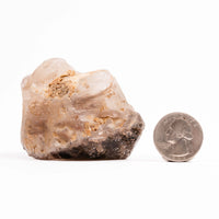 Smoky Amethyst Elestials - Earth Love Gallery Collection