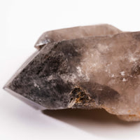 Smoky Amethyst Elestials - Earth Love Gallery Collection
