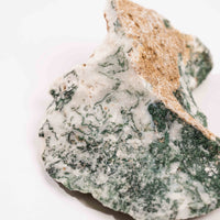 Agate, Tree - Rough
