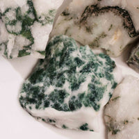Agate, Tree - Rough Intuitive Pick