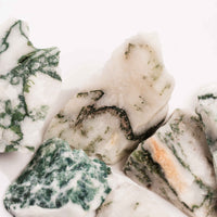 Agate, Tree - Rough Intuitive Pick