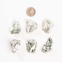 Agate, Tree - Rough Intuitive Pick
