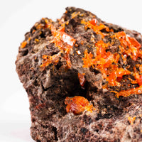 Wulfenite - Rough, Fragile