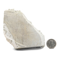 Aquamarine on Quartz w/ Mica Matrix