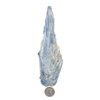 Kyanite, Blue w/ Quartz